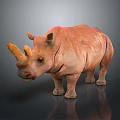 Reddish Brown Rhinoceros Standing With Two Horns On Gray Background And Reflection 3d model