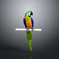Vibrant Colorful Parrot with Bright Feathers Perched on White Bar Against Gray Background