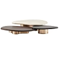 Modern Coffee Table Designs With Marble Tops And Metal Bases In Black White Brown