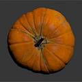 Fresh Ripe Orange Pumpkin With Long Stem As Healthy Food Ingredient