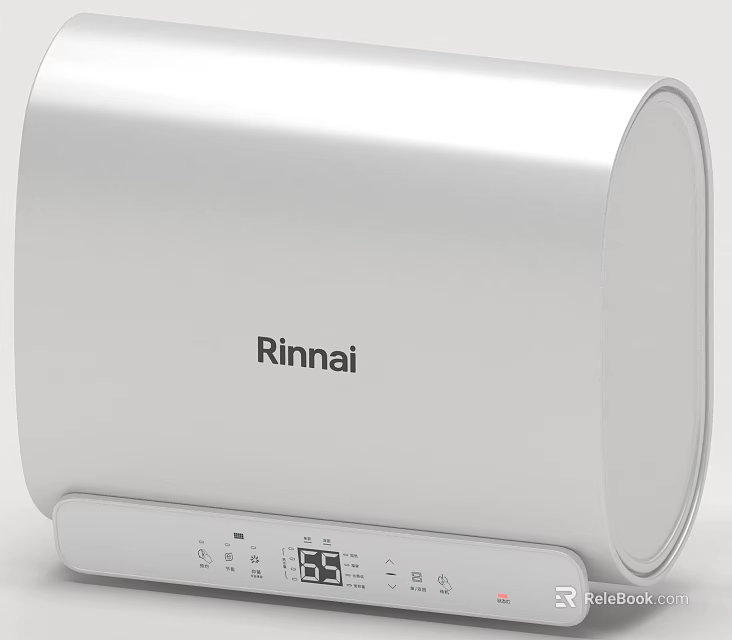 Rinnai Modern Silver Water Heater With Digital Display For Home Use 3d model 