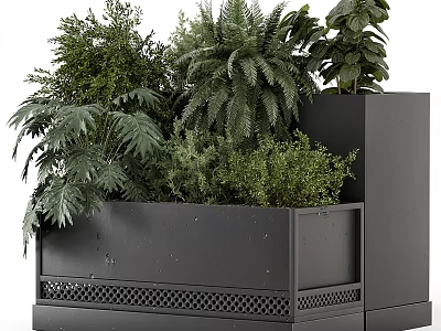 Bonsai Potted Plants In Modern Black Grid Design Planter With Green Foliage 3d model