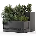 Bonsai Potted Plants In Modern Black Grid Design Planter With Green Foliage