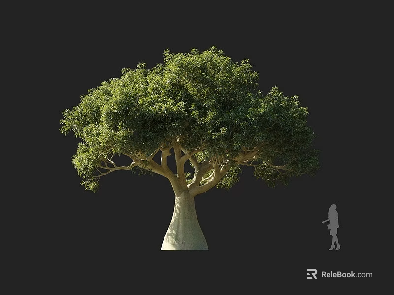 Large Tree with Lush Green Foliage Thick Trunk and Human Figure for Scale 3d model 
