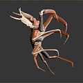 crab sea crab river crab hairy crab bread crab hermit crab big crab small crab marine animal fish 3d model