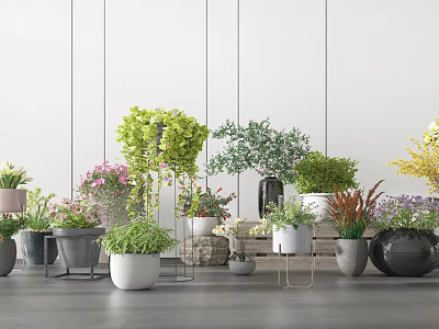 Indoor Potted Plants With Various Green Foliage And Colorful Flowers In Stylish Pots 3d model