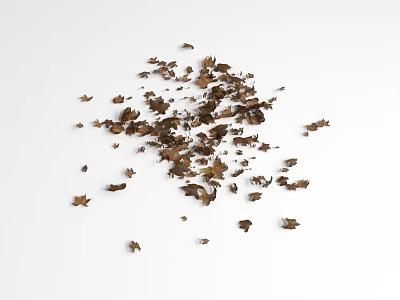 Brown Fallen Leaves Scattered On White Background Natural Plant Debris 3d model