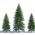The Modern Tree 3d model