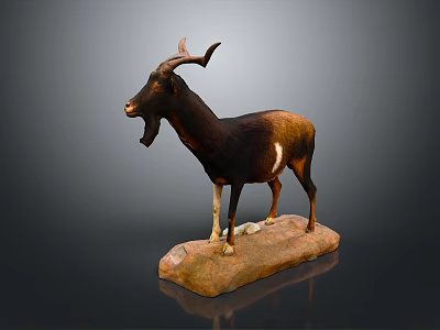 Detailed Life Sized Brown Horned Goat Taxidermy Standing on Stone Base 3d model