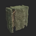Green Foliage Sculptured Bush With Lush Leaves And Textured Structure For Garden Landscaping