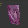 Natural Wood Stone Carved Sculpture With Organic Shape And Textured Surface