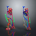 Colorful 3D Heart Organ Model With Hair Like Blood Vessels And Skeleton Parts