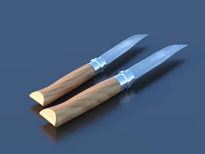 Two Knives With Wooden Handles And Metal Blades On Dark Surface 3d model