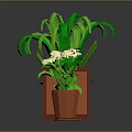 Various Hanging And Potted Plants With Green Leaves Purple White Flowers In Orange Brown Pots