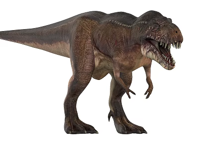 Realistic Tyrannosaurus Rex Dinosaur Model With Open Mouth And Sharp Teeth 3d model