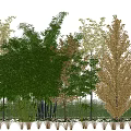 Lush Green Bamboo Plants With Various Trees In Garden Landscape Along Fence And Flowers