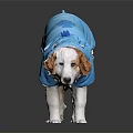 Cute Dog Wearing Blue Shark Costume Standing On Dark Background With Reflection