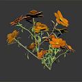 Vibrant Orange Flowers With Green Stems And Leaves Against Black Background And Reflection