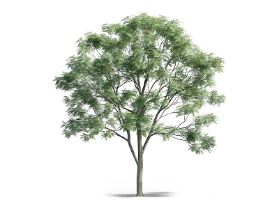 Lush Green Arbor With Dense Foliage And Strong Trunk In Natural Form 3d model