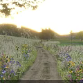 Picturesque Golden Sunset Rural Landscape With Horse Rider Riding Along Wild Flower Lined Country Path
