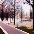Park Landscape With Long Mesh Path Lined By Trees Water Green Grass And Pink Sky