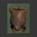 Orange Red Toad With Textured Skin Resting On Green Platform