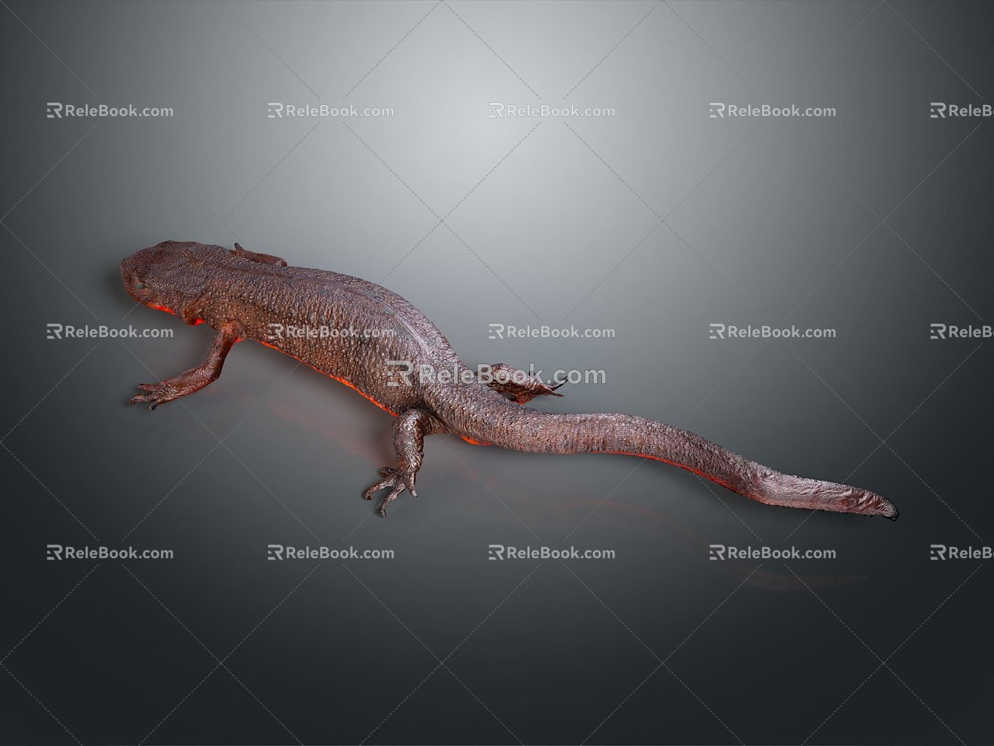 Lizard Anime Lizard Chameleon Cartoon Lizard Reptile Cold Blooded Animal Reptile Reptile Class 3d model