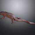 Lizard Anime Lizard Chameleon Cartoon Lizard Reptile Cold Blooded Animal Reptile Class 3d model