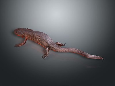 Lizard Anime Lizard Chameleon Cartoon Lizard Reptile Cold Blooded Animal Reptile Class 3d model