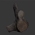 Natural Wooden Log with Branched Structure and Textured Surface for Decorative Use