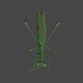 Realistic Green Praying Mantis 3D Model With Detailed Body Structure