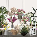 Bonsai and Potted Plants Display with Various Green Foliage and Colorful Flowers in Different Containers