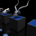 Multiple Educational Medical Anatomical Skull Specimens on Blue Display Stands Black Background