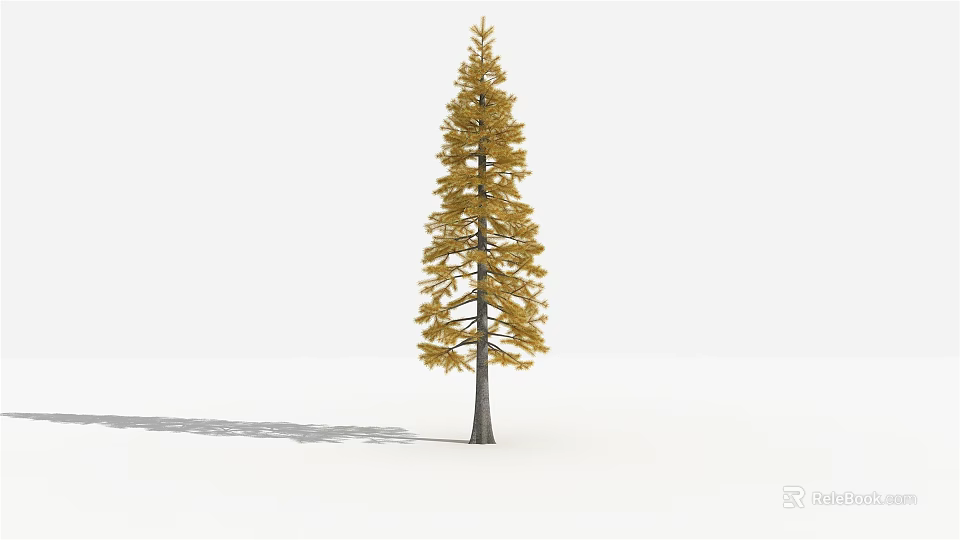 Tall Arbor With Yellow Leaves Dark Trunk And Shadow On White Background 3d model 