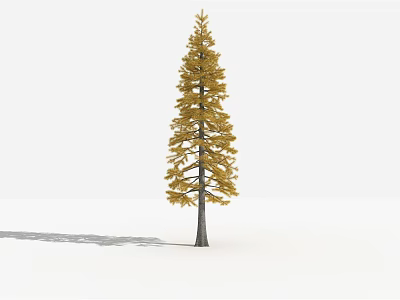 Tall Arbor With Yellow Leaves Dark Trunk And Shadow On White Background 3d model