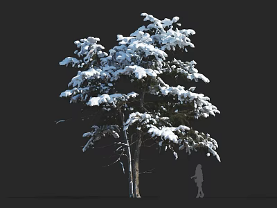 Snow Covered Arbor in Winter Scene with a Figure Standing Nearby 3d model