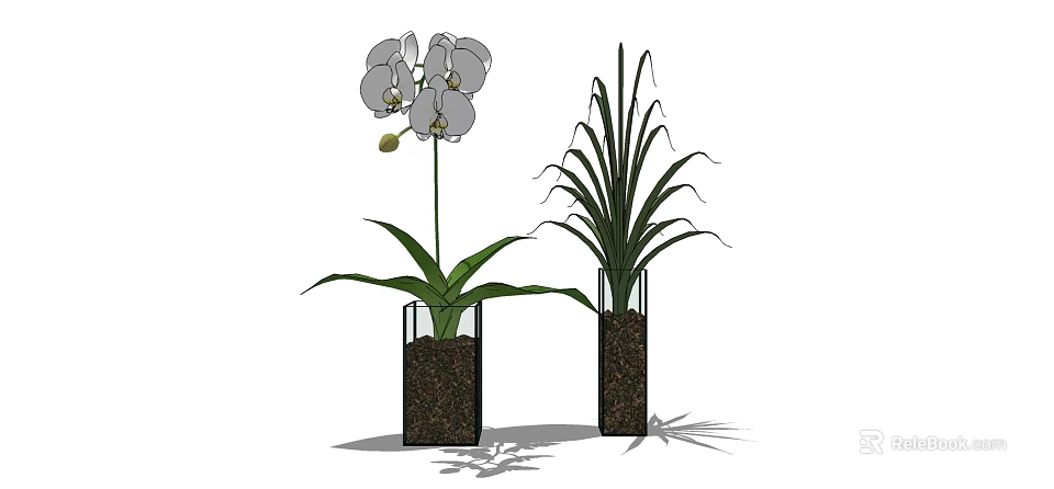 Transparent Glass Vases With White Orchid Grass Like Plants Fresh Green Leaves And Brown Soil 3d model 