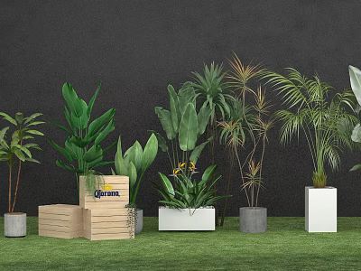 Assorted Potted Plants With Wooden Crates White Gray Planters Against Black Wall On Green Grass 3d model