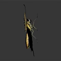 Vibrant Yellow Black Butterfly with Intricate Wing Patterns on Dark Background and Reflection 3d model
