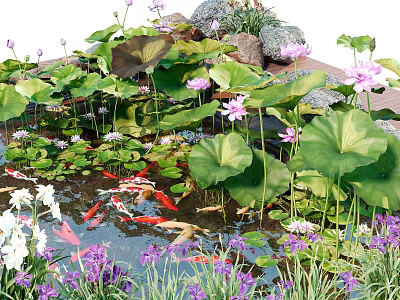 Lotus Flowers and Water Plants in Garden Pond with Koi Fish Rocks and Colorful Blooms 3d model