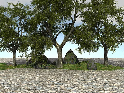 Modern Plants Landscape Plants 3d model