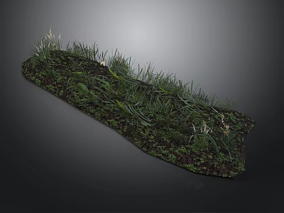 Natural Grassland Scene With Green Plants Soil And Small Flowers On Black Background 3d model