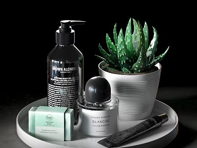 Bathroom Accessories Set With Hand Soap Soap Bar Fragrance Comb And Succulent Plant On Tray 3d model