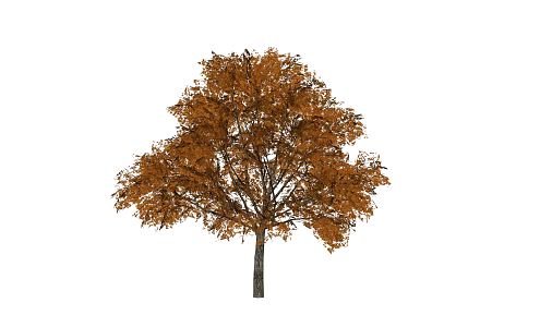 Modern Trees 3d model