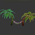 Colorful Hammock Setup Between Two Lush Green Palm Trees