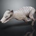 Detailed Striped Grayish White Reptile 3D Model in Running Posture on Dark Background