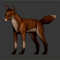 Realistic 3D Red Fox Model With White Chest Standing On Gray Background 3d model