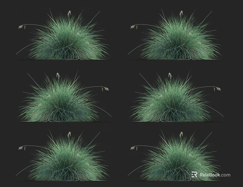Lush Green Herb Plants Growing in Clumps with Slender Leaves and Natural Texture 3d model 
