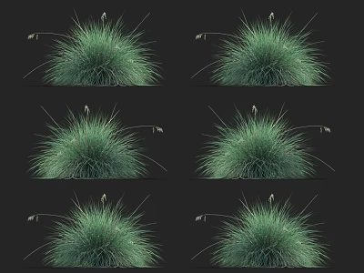 Lush Green Herb Plants Growing in Clumps with Slender Leaves and Natural Texture 3d model