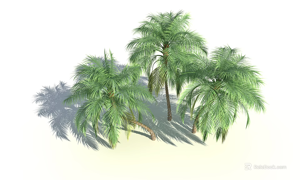 Three Lush Palm Trees With Green Foliage And Natural Shadows 3d model 